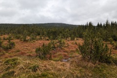 PXL_20230114_140850775