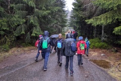 PXL_20230115_110703077