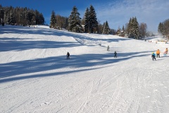 PXL_20240121_084458602