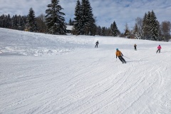 PXL_20240121_091905152