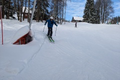 PXL_20240121_093539886