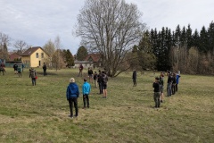 PXL_20250330_081525275