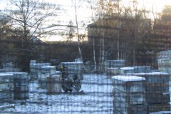 IMG_3616
