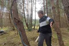 IMG-20250412-WA0031