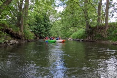 PXL_20220528_083441615