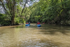 PXL_20240525_091302706