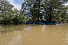 PXL_20240525_112834047