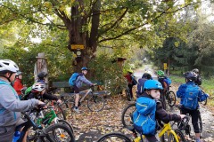 IMG_20211002_095937420