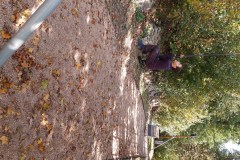 IMG_20211003_121035554