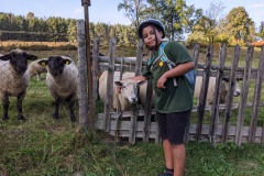 PXL_20211002_151223303