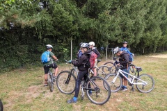 PXL_20211003_074417102