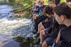 PXL_20211003_110833780