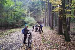 IMG-20221008-WA0011