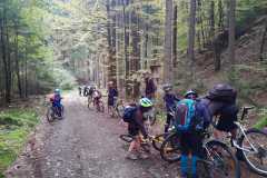 IMG-20221008-WA0012