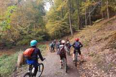IMG-20221008-WA0017