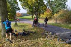 IMG-20221008-WA0020