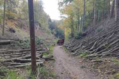 IMG-20221008-WA0044