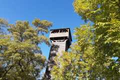IMG-20221009-WA0002