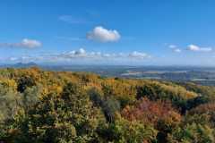 IMG-20221009-WA0033
