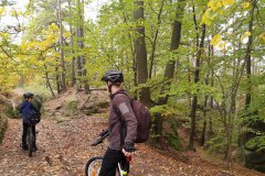 IMG_20221008_103948380