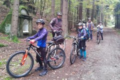 IMG_20221008_105236128_BURST000_COVER_COMP