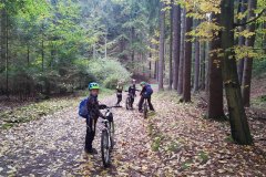 IMG_20221008_105244732