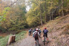 IMG_20221008_123421264