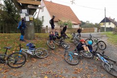 IMG_20221008_124541149