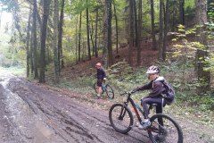 IMG_20221008_153540154