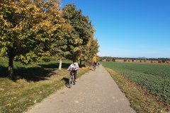 IMG_20221009_102358016