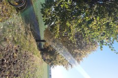 IMG_20221009_112349693