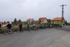 PXL_20221008_075326078