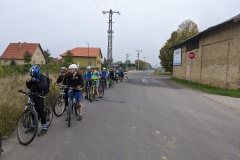 PXL_20221008_075354147