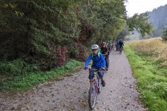 PXL_20221008_083359913