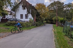 PXL_20221008_145113896