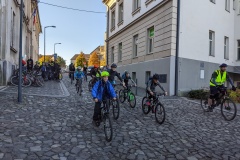 PXL_20221009_072804844