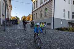 PXL_20221009_072807189