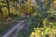 PXL_20221009_074541367