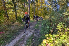 PXL_20221009_074544359