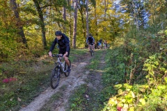 PXL_20221009_074546542