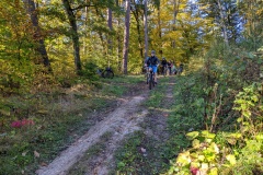 PXL_20221009_074551338