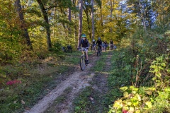 PXL_20221009_074553383