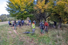 PXL_20221009_103122386