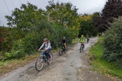 PXL_20231008_081304492