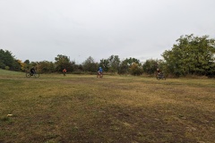 PXL_20231008_103818079