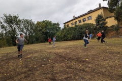 PXL_20231008_111152511