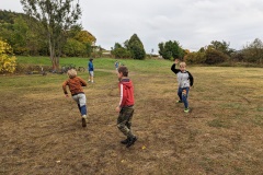 PXL_20231008_111314103