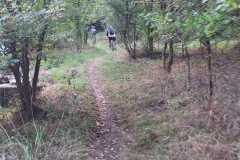 IMG-20240928-WA0036