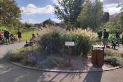 IMG-20240929-WA0006