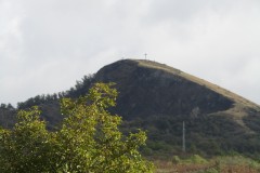 XIMG_4651